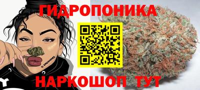 кокаин Шелехов